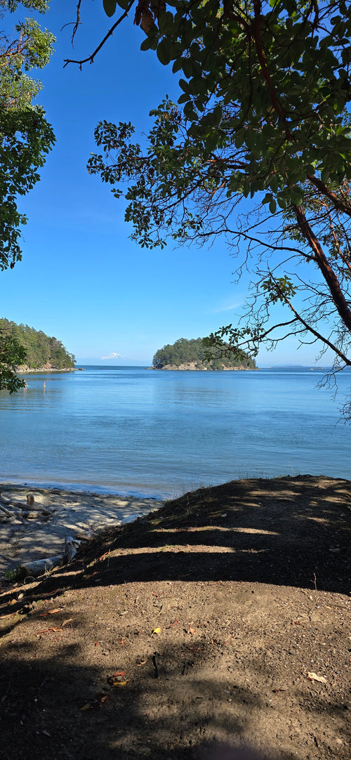Bennett Bay Beach