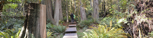 Mount Parke Regional Park