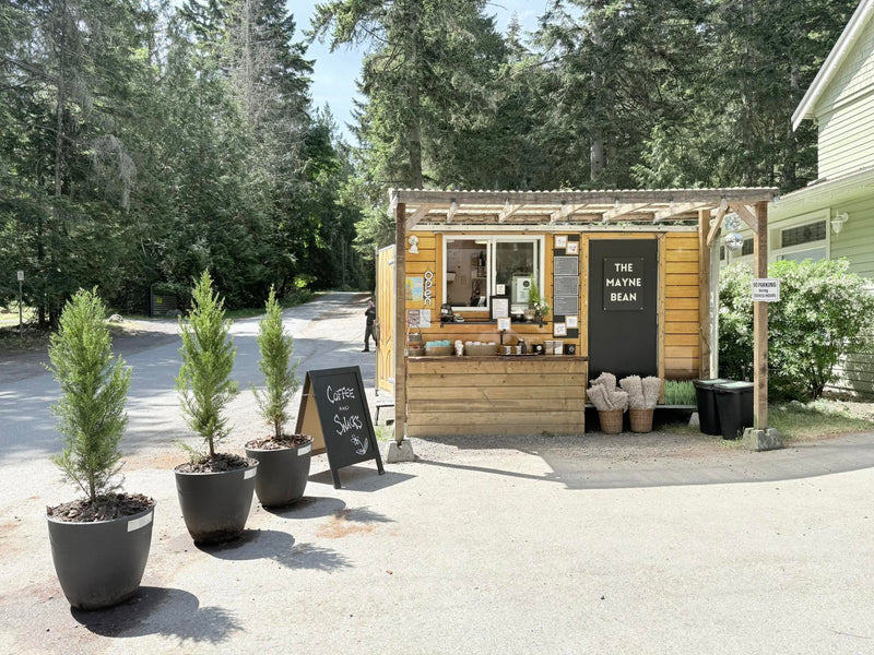 A small wooden outdoor cafe or kiosk with a sign reading 'THE MAYHE BEAN' stands on a paved area surrounded by trees. Three potted evergreen plants and a chalkboard sign are placed in front, with a building and more trees in the background. Mayne Island